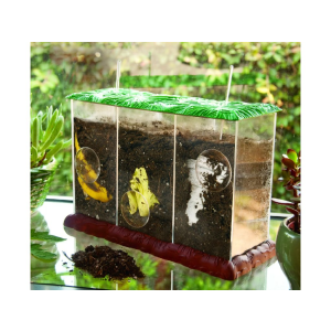 Learning Resources Learning Resources Pozorovací kompostér