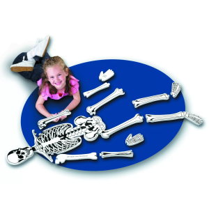 Learning Resources Learning Resources Pěnová puzzle kostra