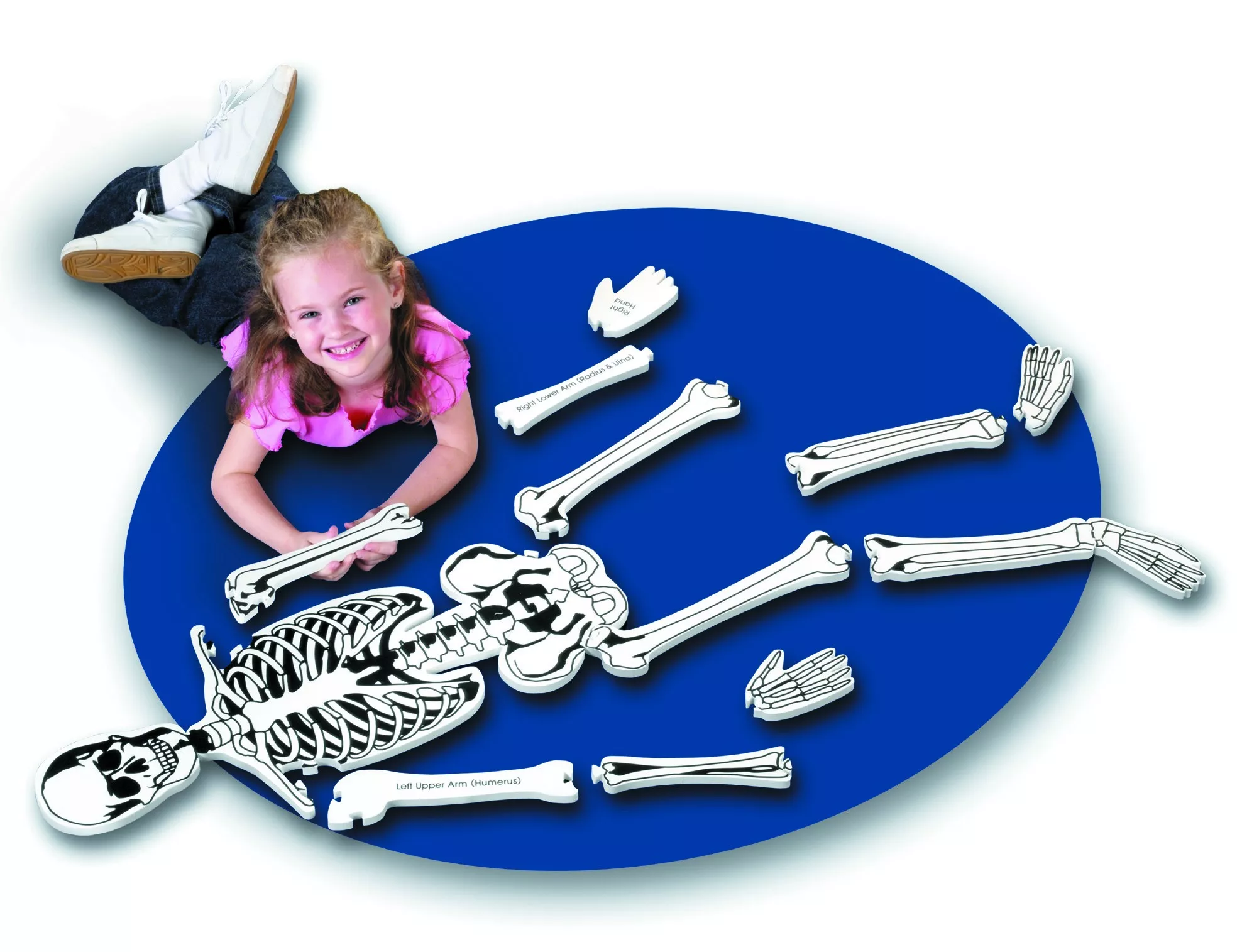 Learning Resources Learning Resources Pěnová puzzle kostra