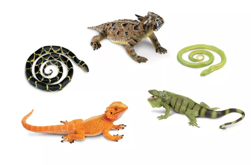 Safari Ltd. Safari Ltd. Hadi a ještěři (5 ks)