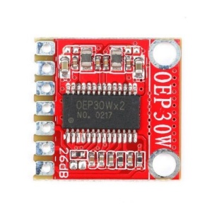 Digitální audio zesilovač mono - DC 8-24V 30W