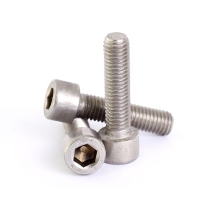 Šroub z nerezové oceli - M 1,6 x 0,35 x 8 mm