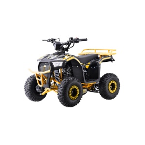 Dětská benzínová čtyřkolka RamiGO EXPLORER 110CC žlutá
